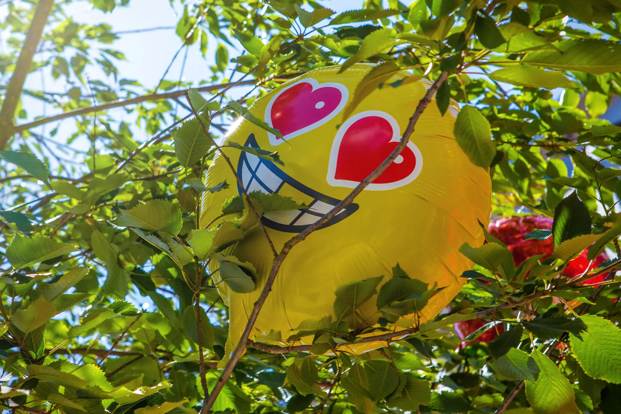 Vodafone Summertime Ball project image 8